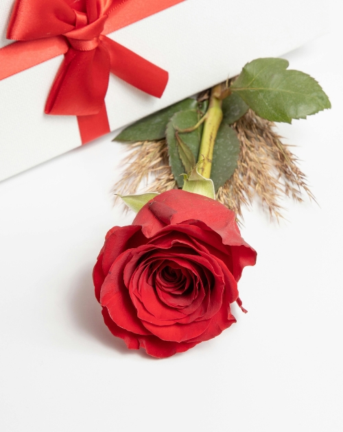 untitled design (41)