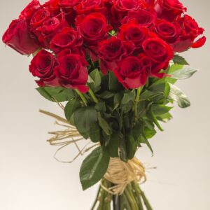 timeless classic collection