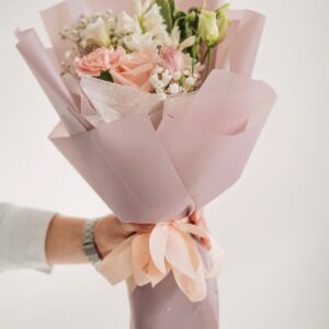 timeless classic collection