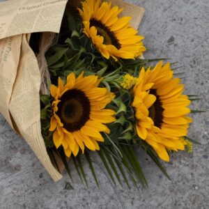 timeless classic collection